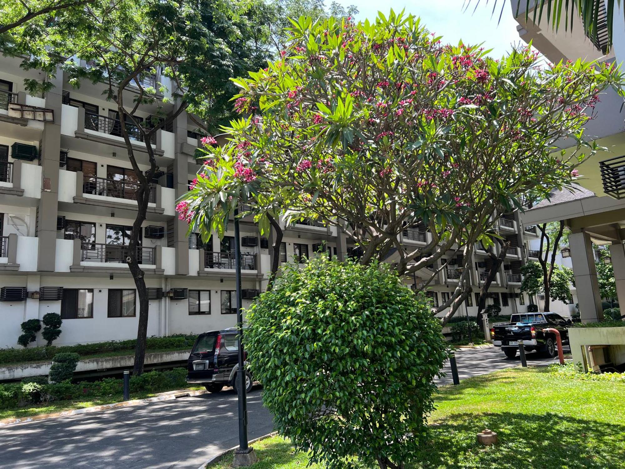 Stunning 2Br Apt, 65 Sq M Netflix At Rosewood Pointe Residences Near Bgc Manila Eksteriør bilde